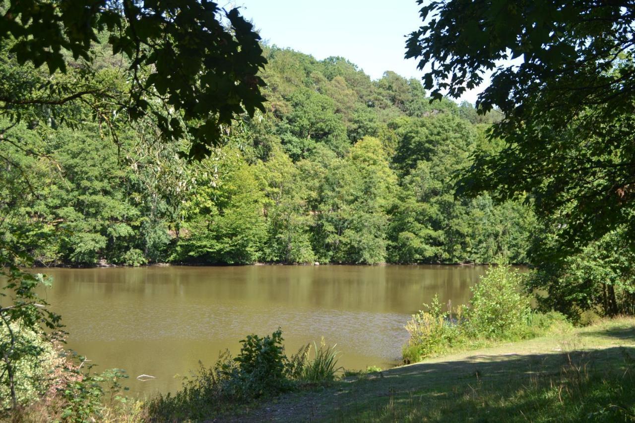 Frankenau Fewo Kellerwald المظهر الخارجي الصورة