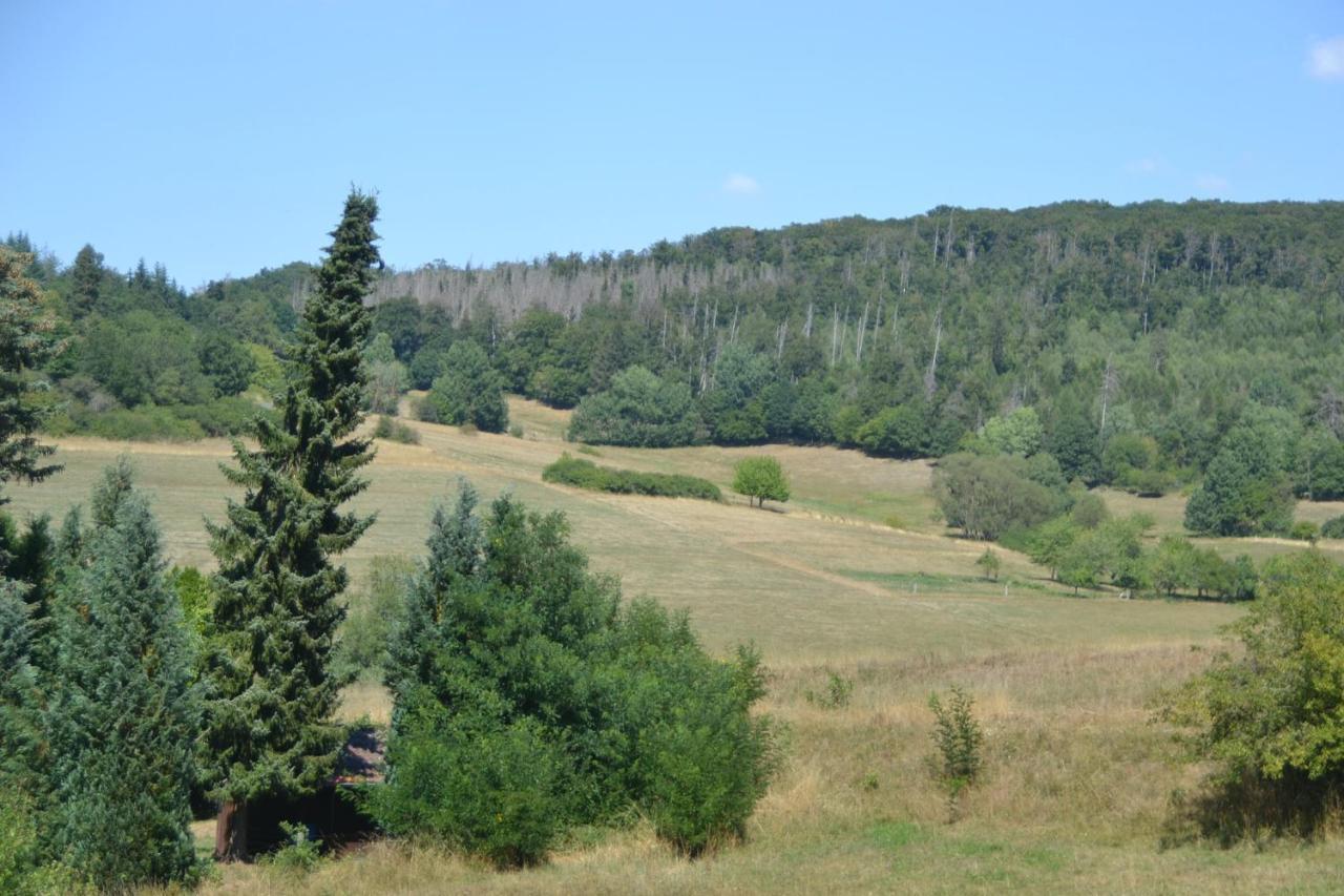 Frankenau Fewo Kellerwald المظهر الخارجي الصورة